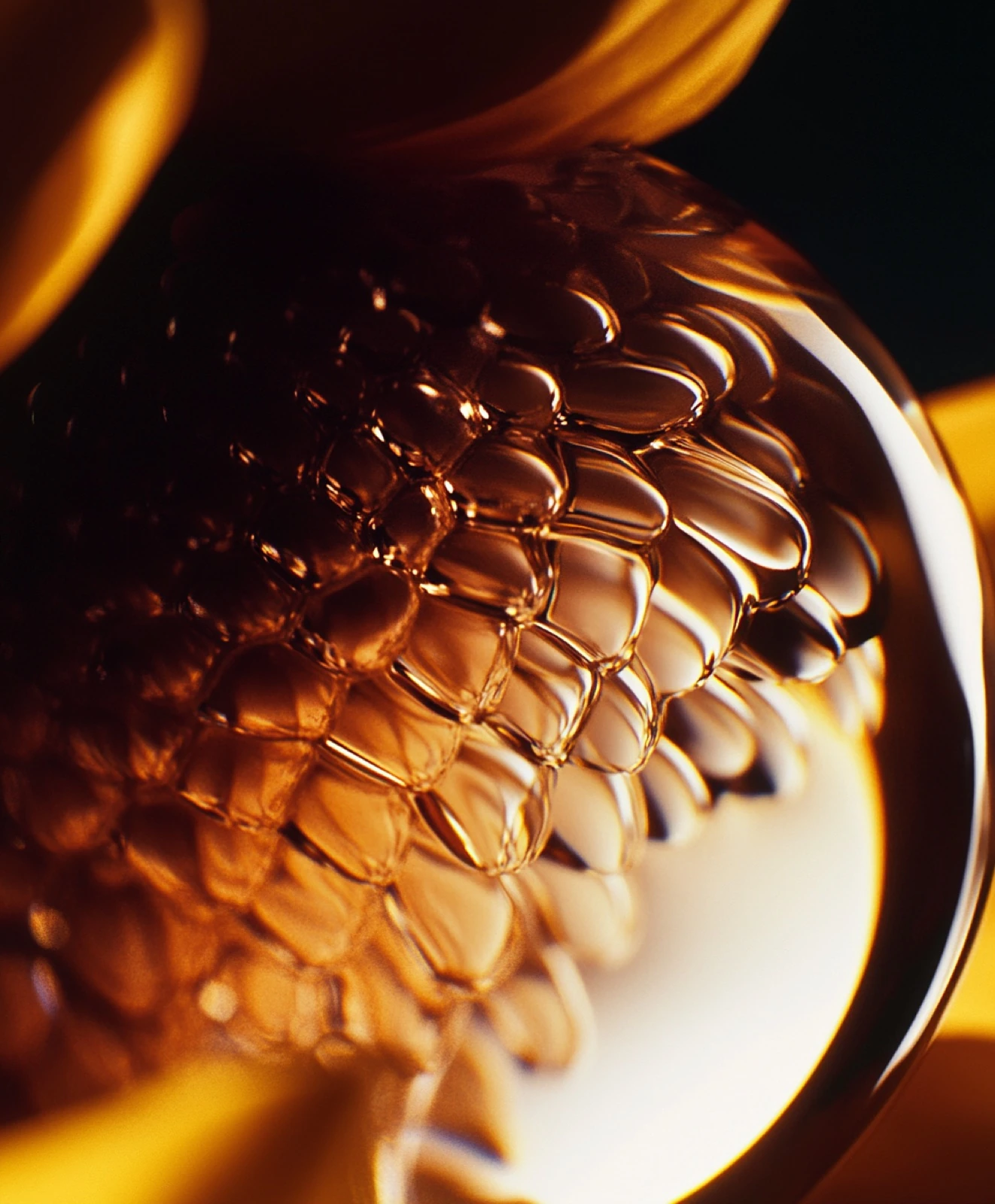 An amber core held within a botanical structure