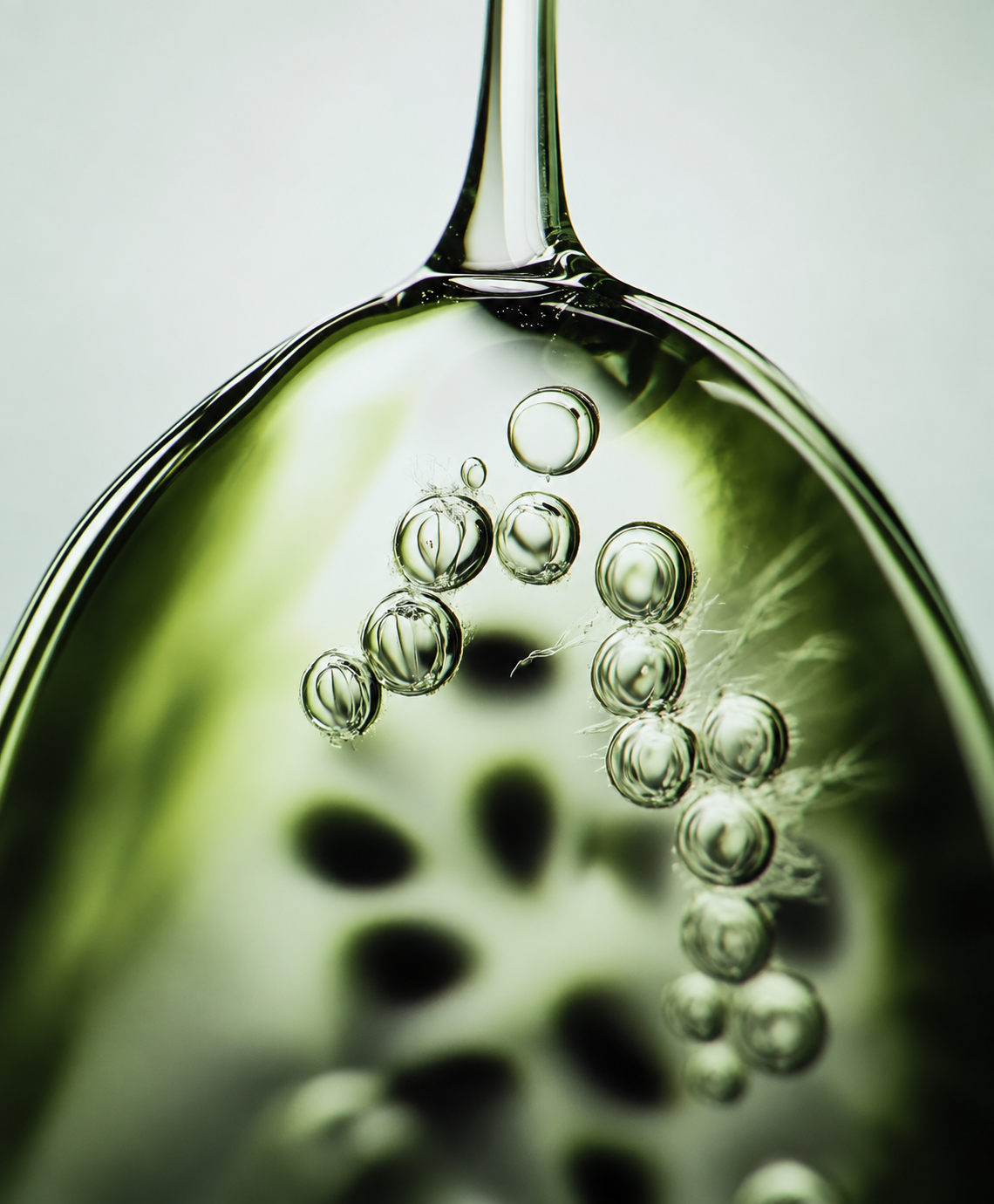 Green translucent bubbles and botanical textures